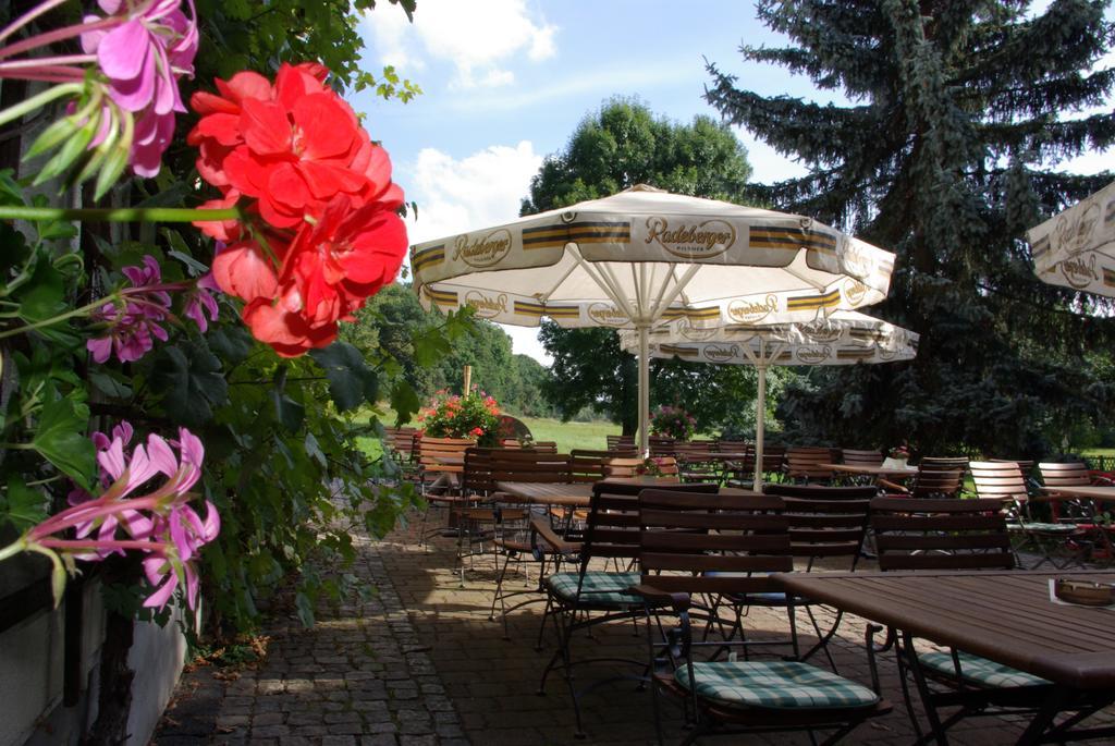 Hotel In Der Muehle Werdau Exterior photo